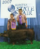 Kentucky State Fair Grand Champion Duroc Jr. and Open