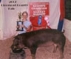 Clermont County Reserve Champion Barrow