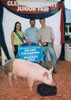 Clermont County Grand Champion Gilt