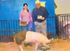Tennessee State Fair Grand Champion Market Hog