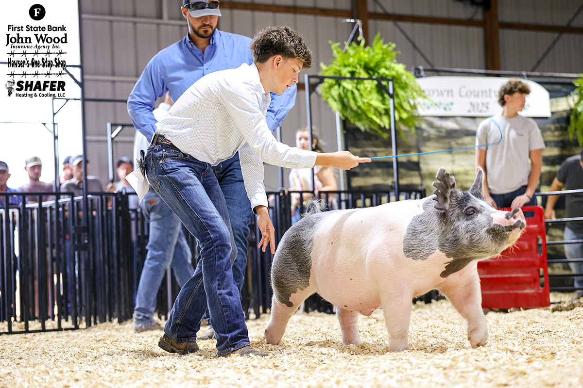 Reserve Champion Heavyweight Barrow & Fifth Overall Market Barrow - Owen Craig 2