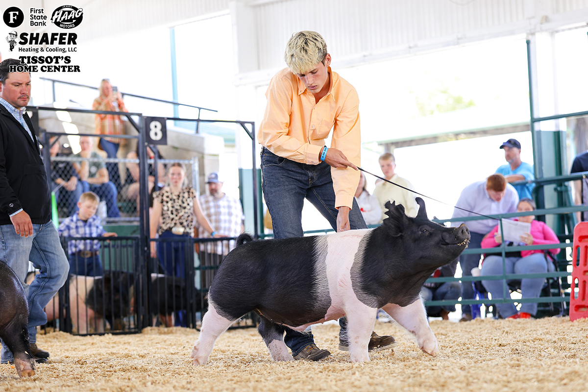 Division Champion - Elam Faust 5