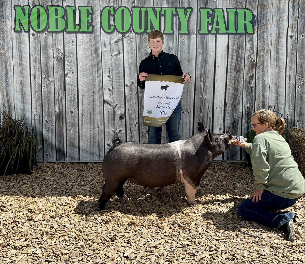 Fifth Overall Market Hog & Reserve Division 4 - Ephraim Fowler 1