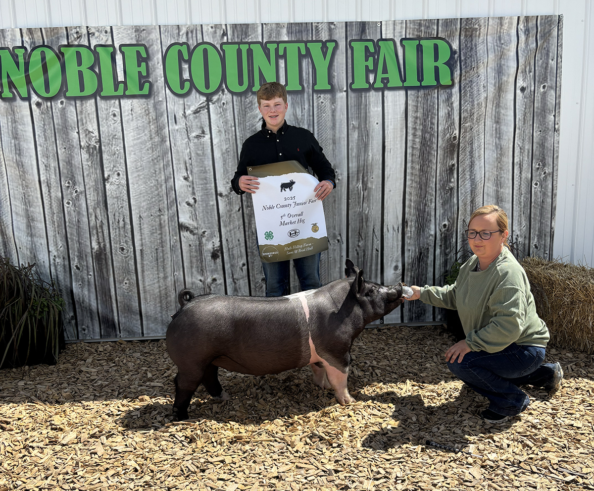 Fifth Overall Market Hog & Reserve Division 4 - Ephraim Fowler 2
