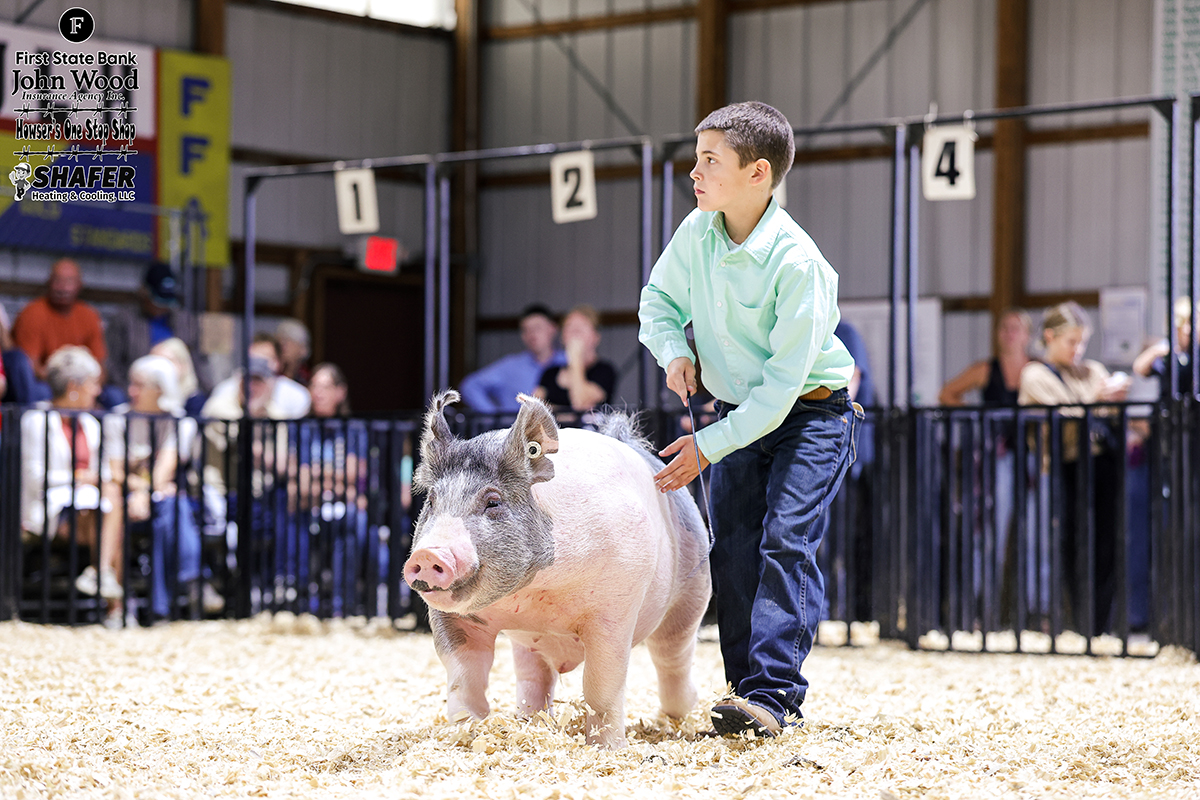 Reserve Champion Lightweight Barrow - Kent Williams 10