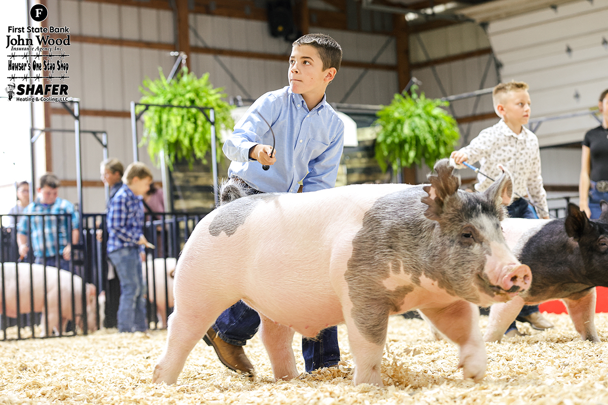 Reserve Champion Lightweight Barrow - Kent Williams 2