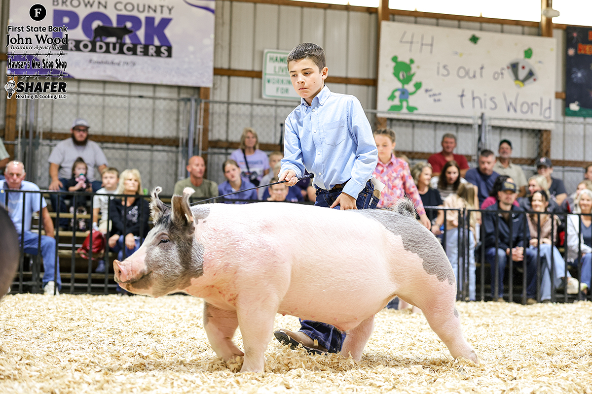 Reserve Champion Lightweight Barrow - Kent Williams 6