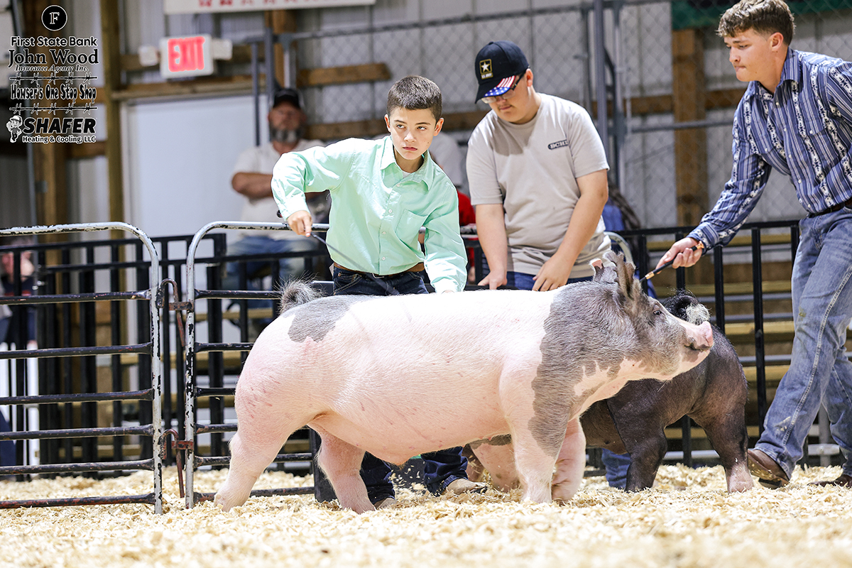 Reserve Champion Lightweight Barrow - Kent Williams 7