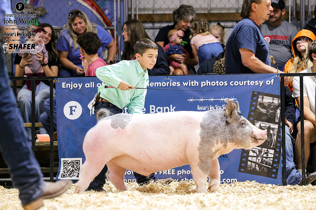 Reserve Champion Lightweight Barrow - Kent Williams 8