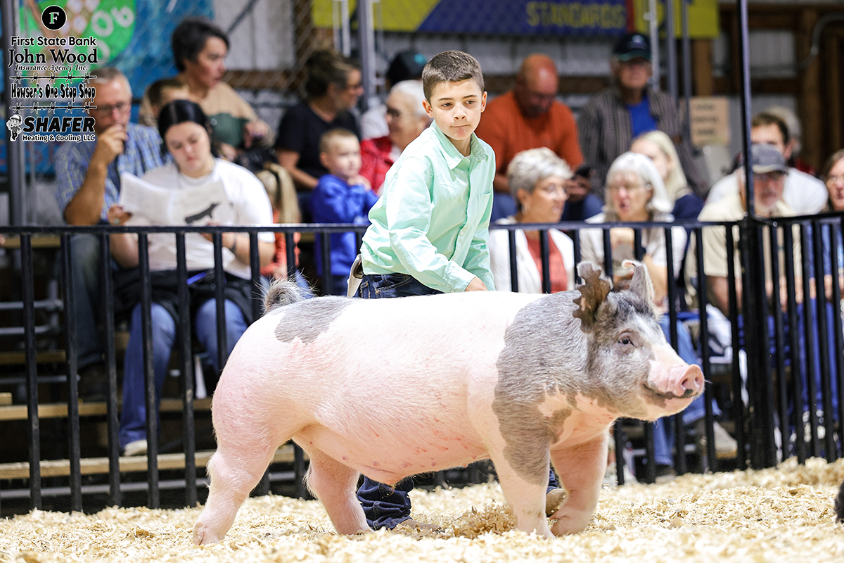 Reserve Champion Lightweight Barrow - Kent Williams 9