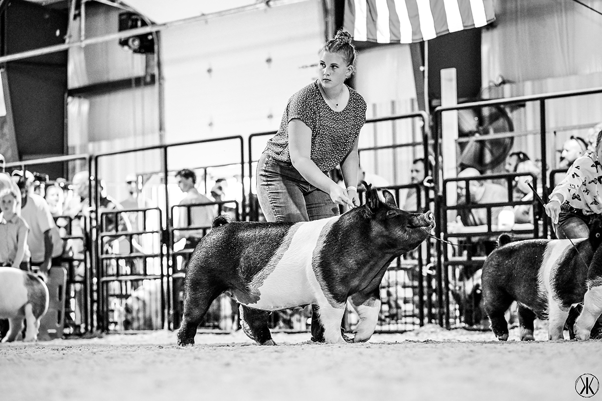 Fifth Overall Market Hog & Division Four Champion - Mia Metzger 1