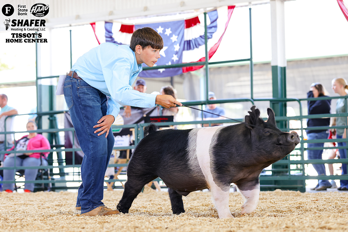 Division Reserve Champion - Owen Faust 3