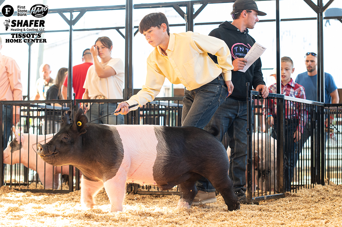 Division Reserve Champion - Owen Faust 4