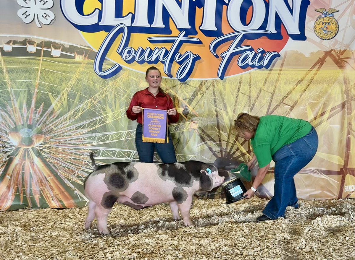 Reserve Champion Spot Market Barrow - Strong Family